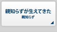 親知らずが生えてきた【親知らず】